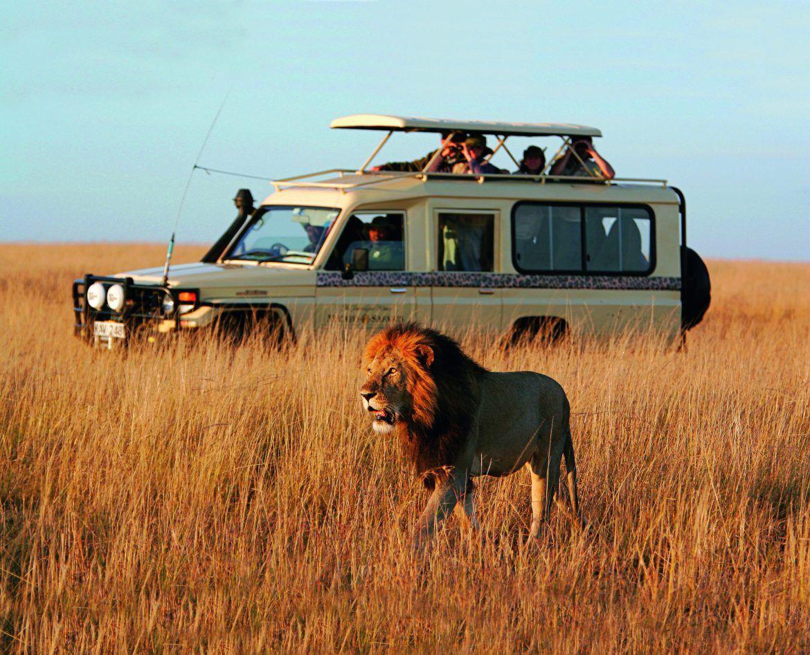 African safari with wildlife